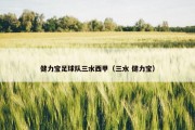 健力宝足球队三水西甲（三水 健力宝）