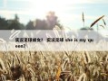 实况足球修女？ 实况足球 she is my queen？