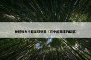 曾经效力中超足球明星（在中超踢球的巨星）