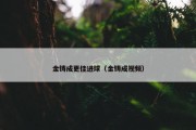 金铸成更佳进球（金铸成视频）