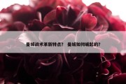 曼城战术革新特点？ 曼城如何崛起的？