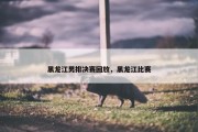 黑龙江男排决赛回放，黑龙江比赛