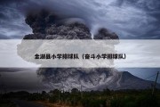 金湖县小学排球队（奋斗小学排球队）