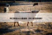拜仁阵容2021戴维斯（拜仁新星戴维斯）