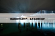 墨西哥足球队被称为，墨西哥足球队简介