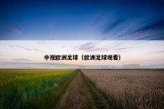 中视欧洲足球（欧洲足球观看）