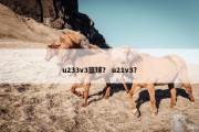 u233v3篮球？ u21v3？