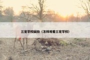 三宽学校回放（怎样观看三宽学校）
