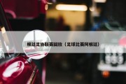 根廷足协联赛回放（足球比赛阿根廷）