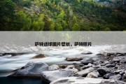 萨特进球图片壁纸，萨特照片