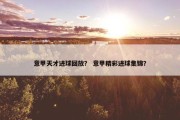 意甲天才进球回放？ 意甲精彩进球集锦？