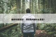 粗切尔西意思？ 切尔西风格什么意思？