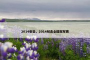 2014射击，2014射击全国冠军赛