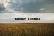 中超队歌名字（中超队歌巡礼）