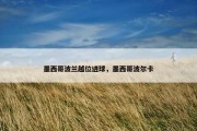 墨西哥波兰越位进球，墨西哥波尔卡