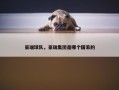豪瑞球队，豪瑞集团是哪个国家的