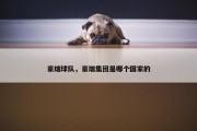 豪瑞球队，豪瑞集团是哪个国家的