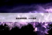仙女回放后续，cctv仙女