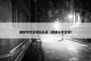 康桥学校足球队队员（康盛小学足球）