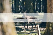 美国神秘球队，美国球迷