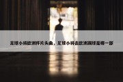 足球小将欧洲杯片头曲，足球小将去欧洲踢球是哪一部
