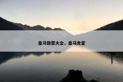 皇马做菜大全，皇马食堂