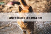 西班牙球员NACHO（西班牙球员亚马尔）