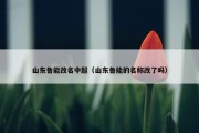 山东鲁能改名中超（山东鲁能的名称改了吗）