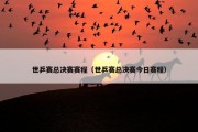 世乒赛总决赛赛程（世乒赛总决赛今日赛程）