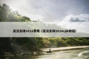 实况足球2018费用（实况足球2018cpk教程）