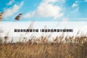 亚运会队阵容介绍（亚运会队阵容介绍视频）