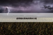 进球媳妇耳鸣的简单介绍