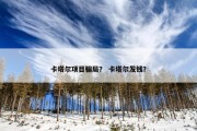 卡塔尔项目骗局？ 卡塔尔发钱？