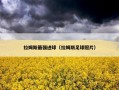 拉姆斯最强进球（拉姆斯足球照片）