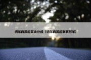 切尔西英超奖金分成（切尔西英超联赛冠军）