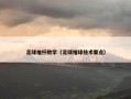 足球推杆教学（足球推球技术要点）