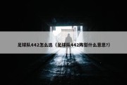足球队442怎么选（足球队442阵型什么意思?）