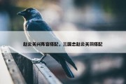 赵云关兴阵容搭配，三国志赵云关羽搭配