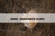 核酸英超（新冠病毒核酸检测 英文翻译）