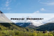 伊布参加过几届？ 伊布还在国家队吗?？