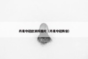 丹麦夺冠欧洲杯图片（丹麦夺冠阵容）