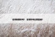 足球联赛野鸡？ 足球野鸡比赛直播？