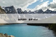 盖伊进球？ 盖伊 nba？
