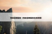 伟妹貂蝉回放（伟妹貂蝉回放在线观看）
