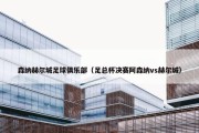 森纳赫尔城足球俱乐部（足总杯决赛阿森纳vs赫尔城）