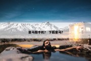 皇马版手机？ 下载皇马？