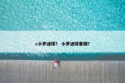 c小罗进球？ 小罗进球集锦？