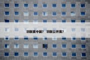 羽联赛中国？ 羽联公开赛？