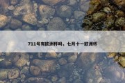 711号有欧洲杯吗，七月十一欧洲杯