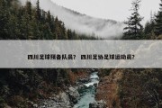 四川足球预备队员？ 四川足协足球运动员？